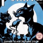 The Furry Brothers - L'âge d'or du Blues Rock des 70'S